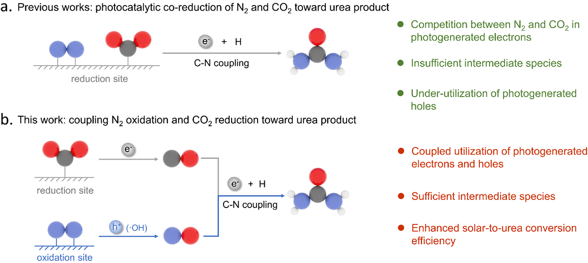 图片8-8.png 图片8-8.png